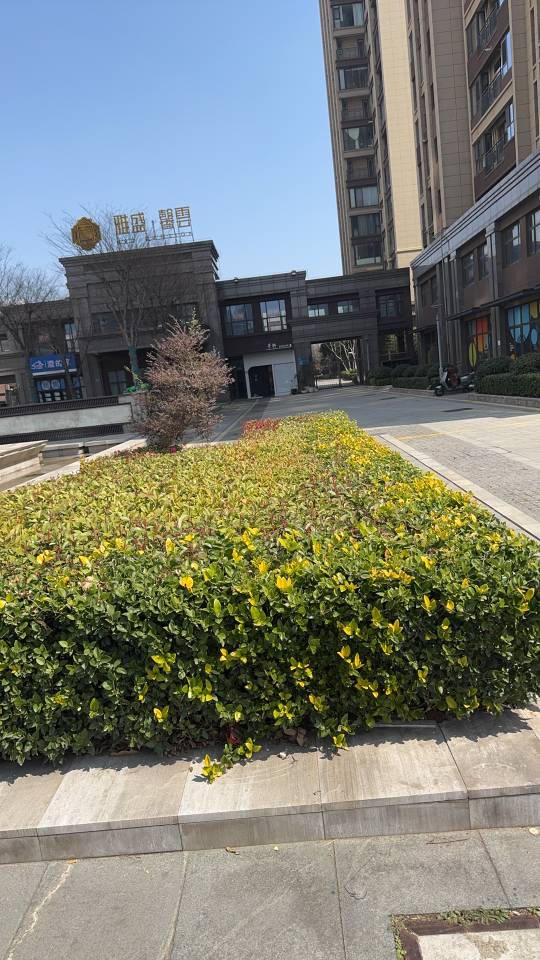 ����һ���ɽ·ley